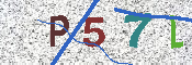Kontrolní text